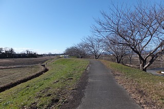 photo-20131222-3