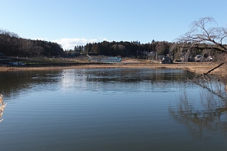 photo-20131229-7