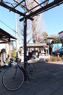 photo-20131230-3