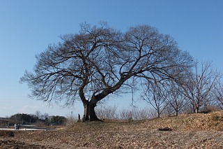 photo-20131231-2