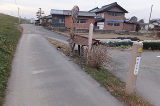 photo-20140125-7