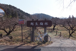 photo-20140201-3