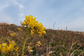 photo-20140201-8