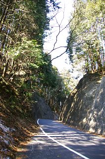 photo-20140309-8