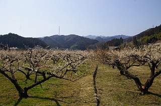 photo-20140316-5