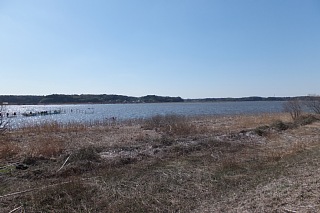 photo-20140324-10