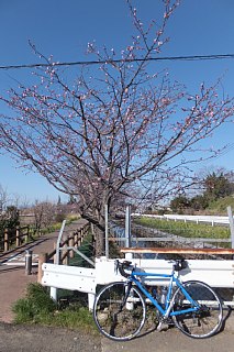 photo-20140324-2