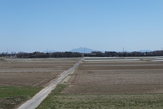 photo-20140324-7