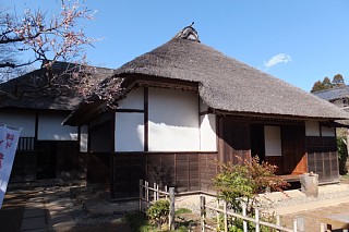 photo-20140325-3