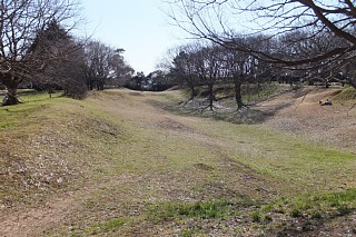photo-20140325-6