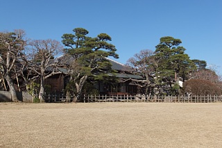 photo-20140325-7