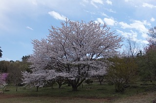 photo-20140405-3