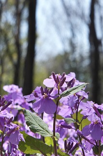 photo-20140412-2