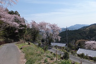 photo-20140412-6