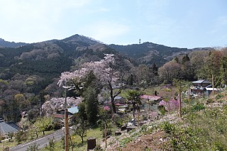 photo-20140412-7