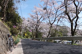 photo-20140412-8