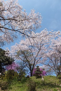 photo-20140412-9