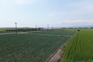 photo-20140501-6