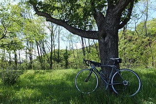 photo-20140502-1