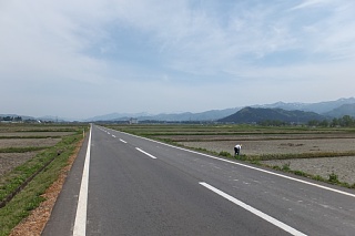 photo-20140503-6