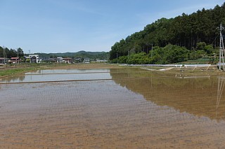 photo-20140511-3