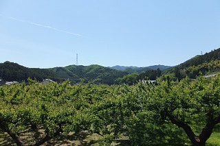 photo-20140511-4