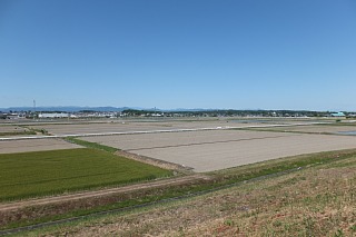 photo-20140518-1