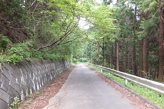 photo-20140525-1