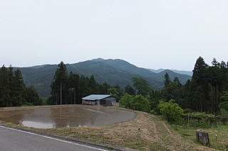 photo-20140525-3