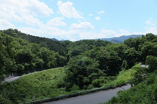 photo-20140614-2