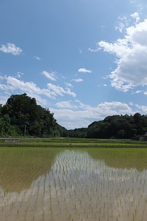photo-20140614-3