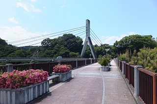 photo-20140615-10