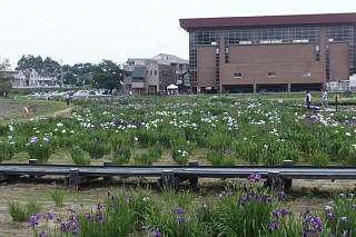 photo-20140621-1
