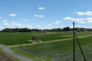 photo-20140629-1