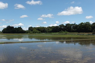 photo-20140629-3
