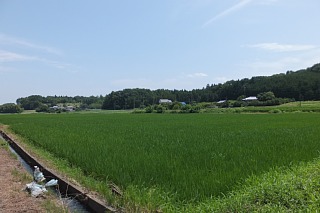 photo-20140712-3