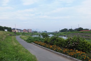 photo-20140725-1