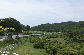 photo-20140725-3