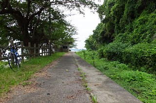 photo-20140814-11