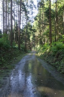 photo-20140814-6