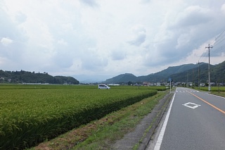 photo-20140824-7