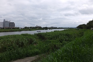 photo-20140831-1