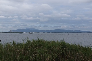photo-20140831-3