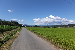 photo-20140916-6