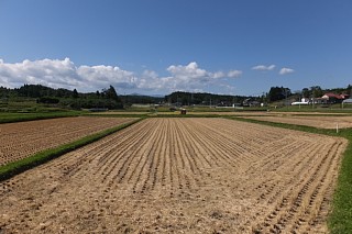 photo-20140926-5