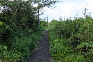 photo-20140926-9