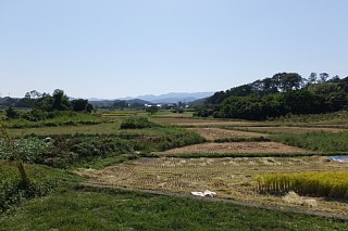 photo-20140928-3