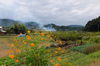 photo-20141004-2