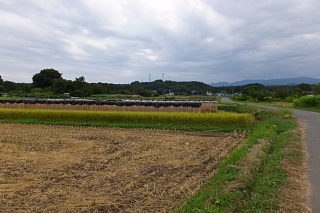 photo-20141004-4