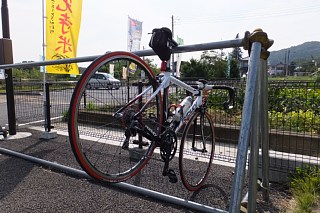 photo-20141011-1